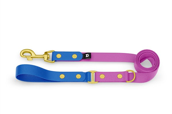 Dog Leash Duo: Blue & Light purple with Gold components