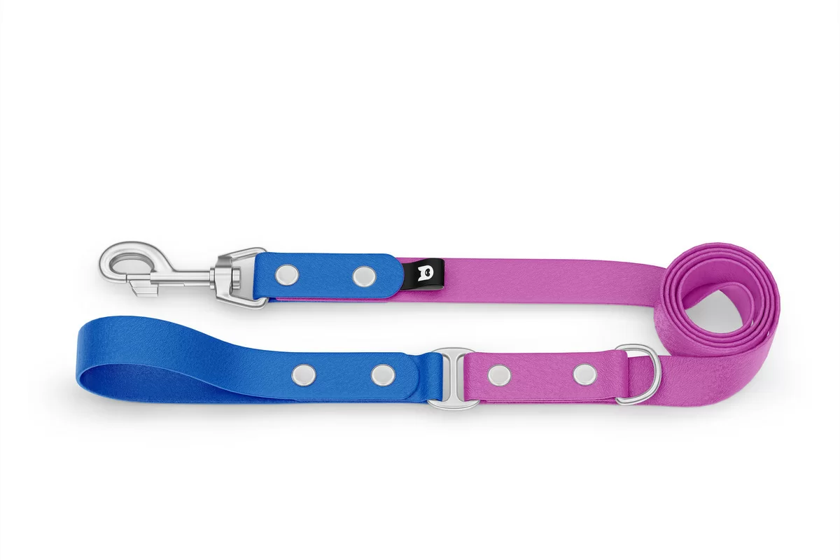 Dog Leash Duo: Blue & Light purple with Silver components