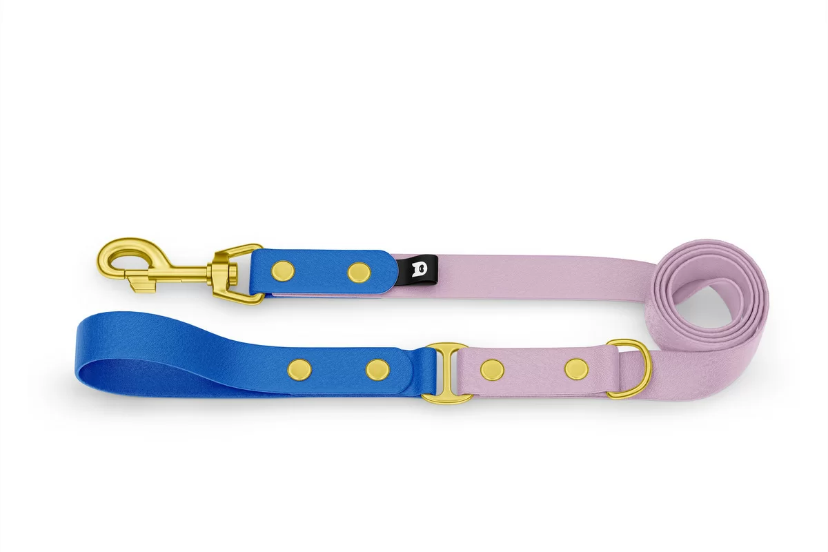 Dog Leash Duo: Blue & Lilac with Gold components