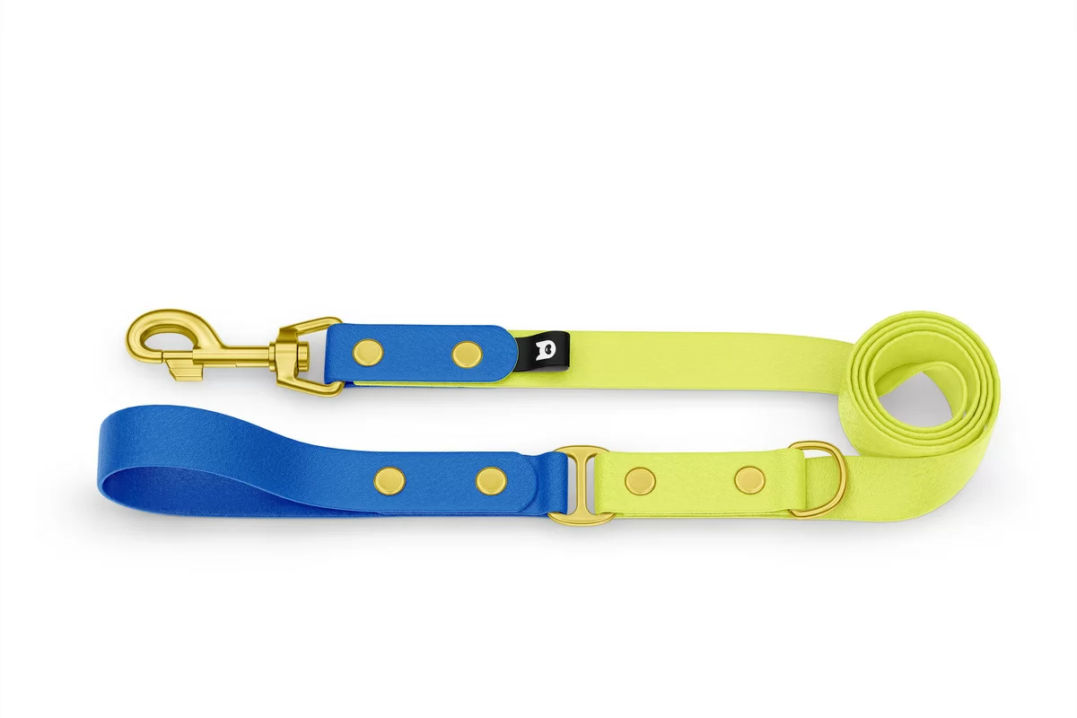Dog Leash Duo: Blue & Neon yellow with Gold components