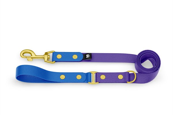 Dog Leash Duo: Blue & Purple with Gold components