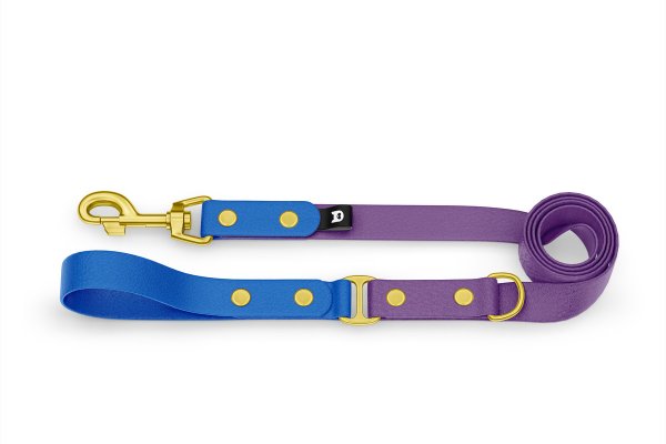 Dog Leash Duo: Blue & Purpur with Gold components