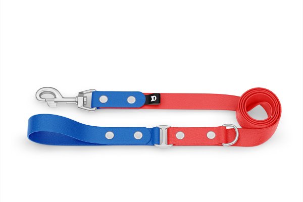 Dog Leash Duo: Blue & Red with Silver components