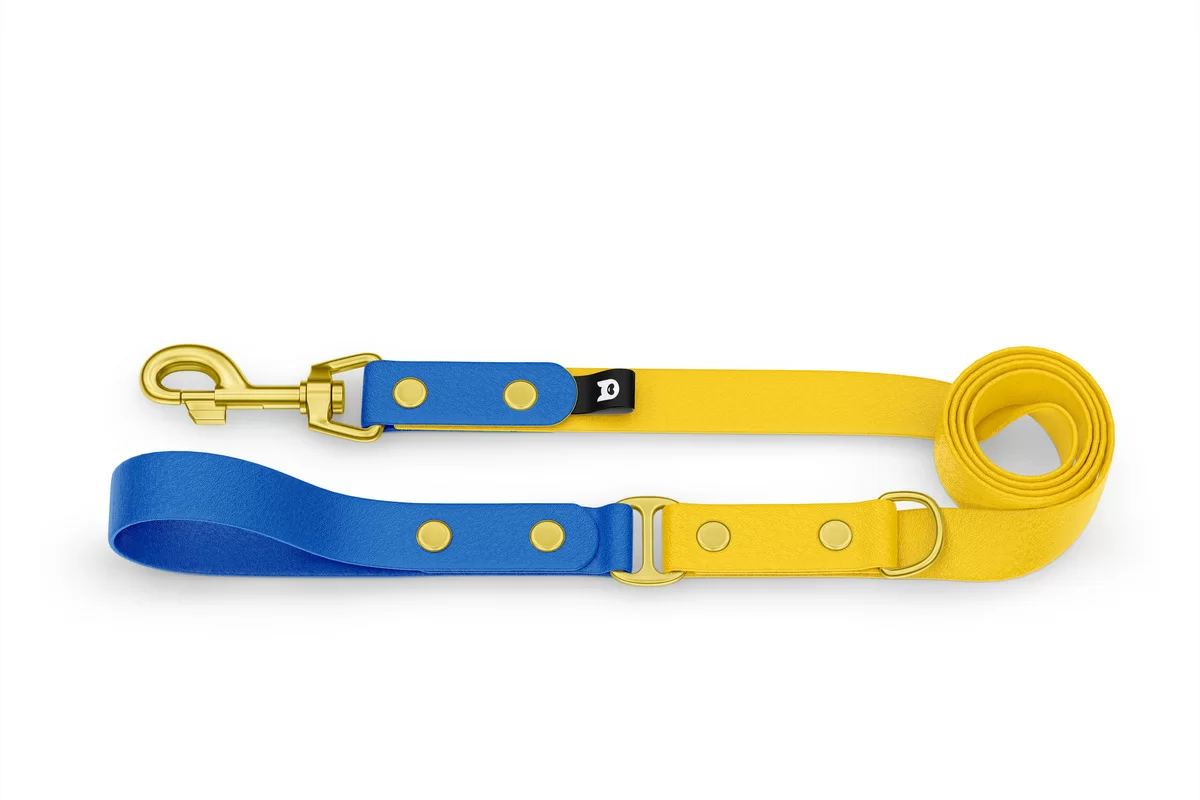 Dog Leash Duo: Blue & Yellow with Gold components