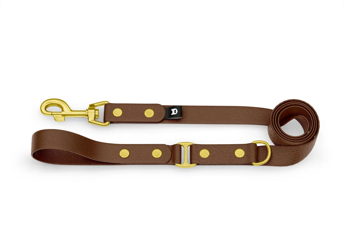 Dog Leash Duo: Dark brown & Dark brown with Gold components