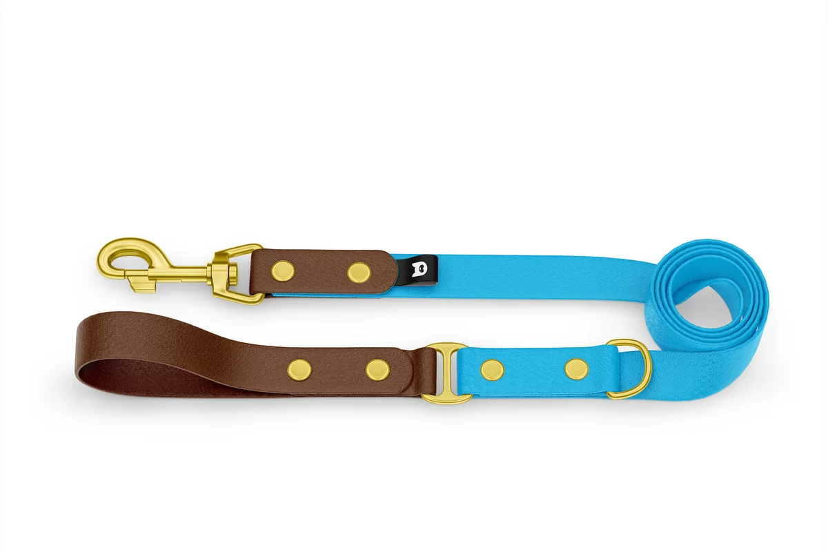Dog Leash Duo: Dark brown & Light blue with Gold components