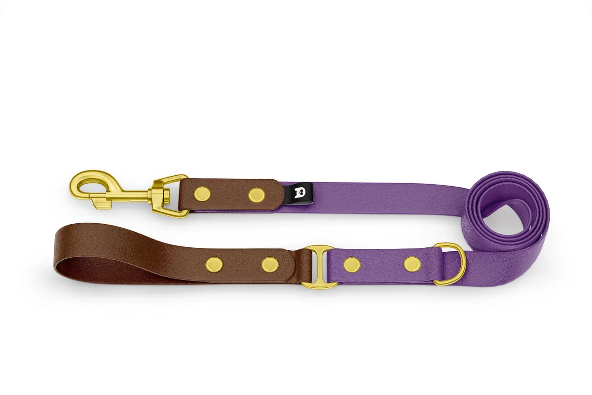 Dog Leash Duo: Dark brown & Purpur with Gold components