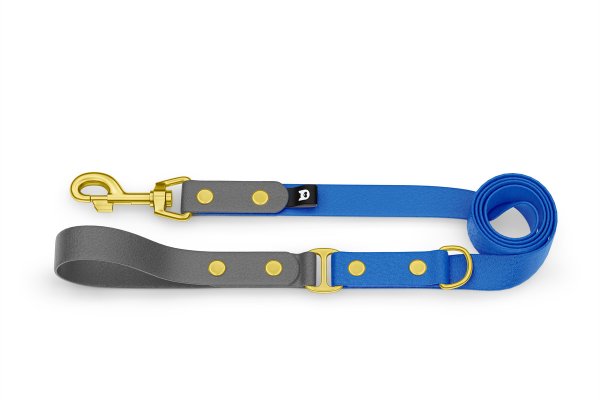 Dog Leash Duo: Gray & Blue with Gold components