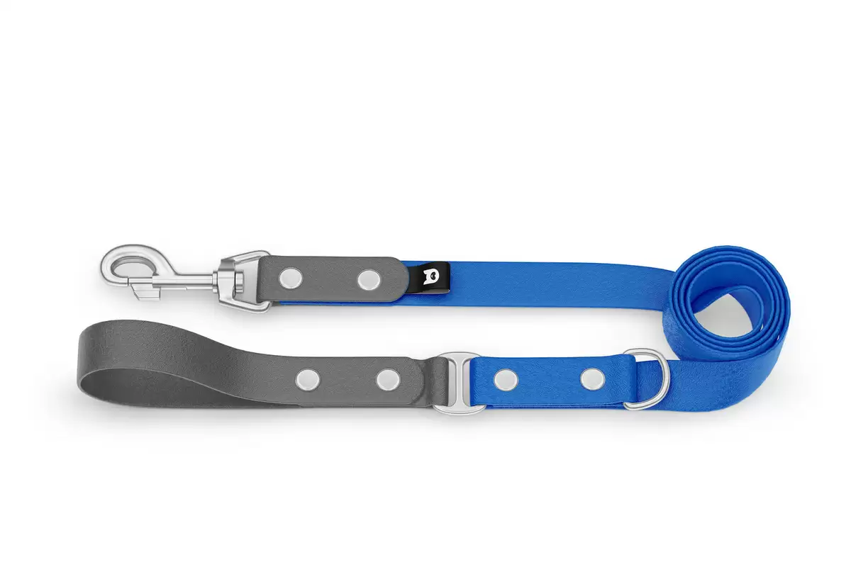 Dog Leash Duo: Gray & Blue with Silver components