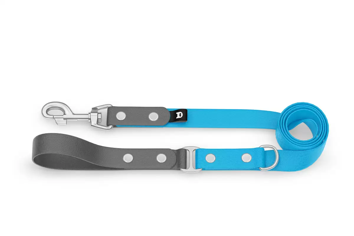 Dog Leash Duo: Gray & Light blue with Silver components