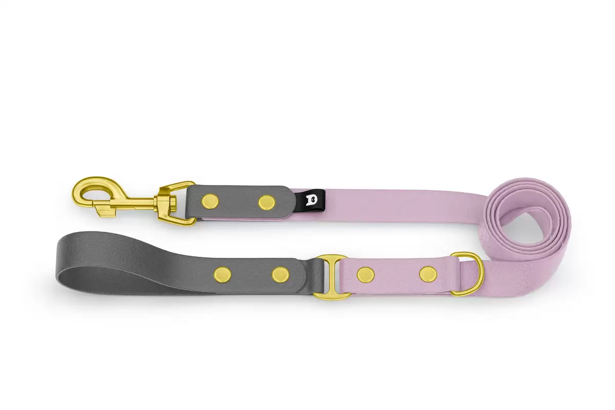Dog Leash Duo: Gray & Lilac with Gold components