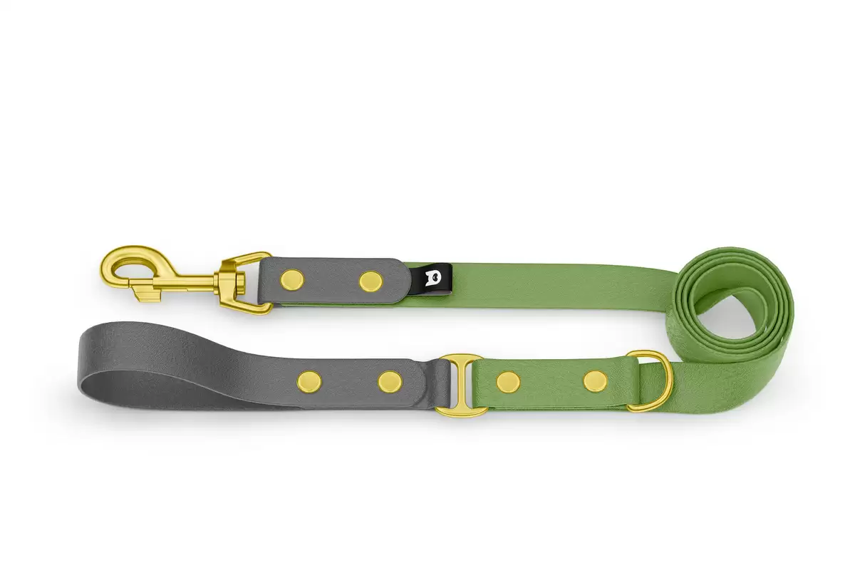Dog Leash Duo: Gray & Olive with Gold components