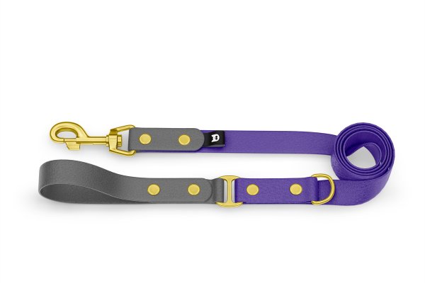 Dog Leash Duo: Gray & Purple with Gold components
