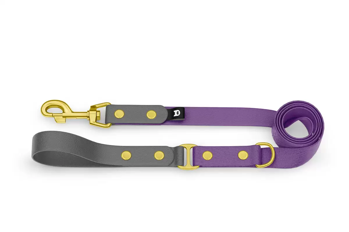 Dog Leash Duo: Gray & Purpur with Gold components