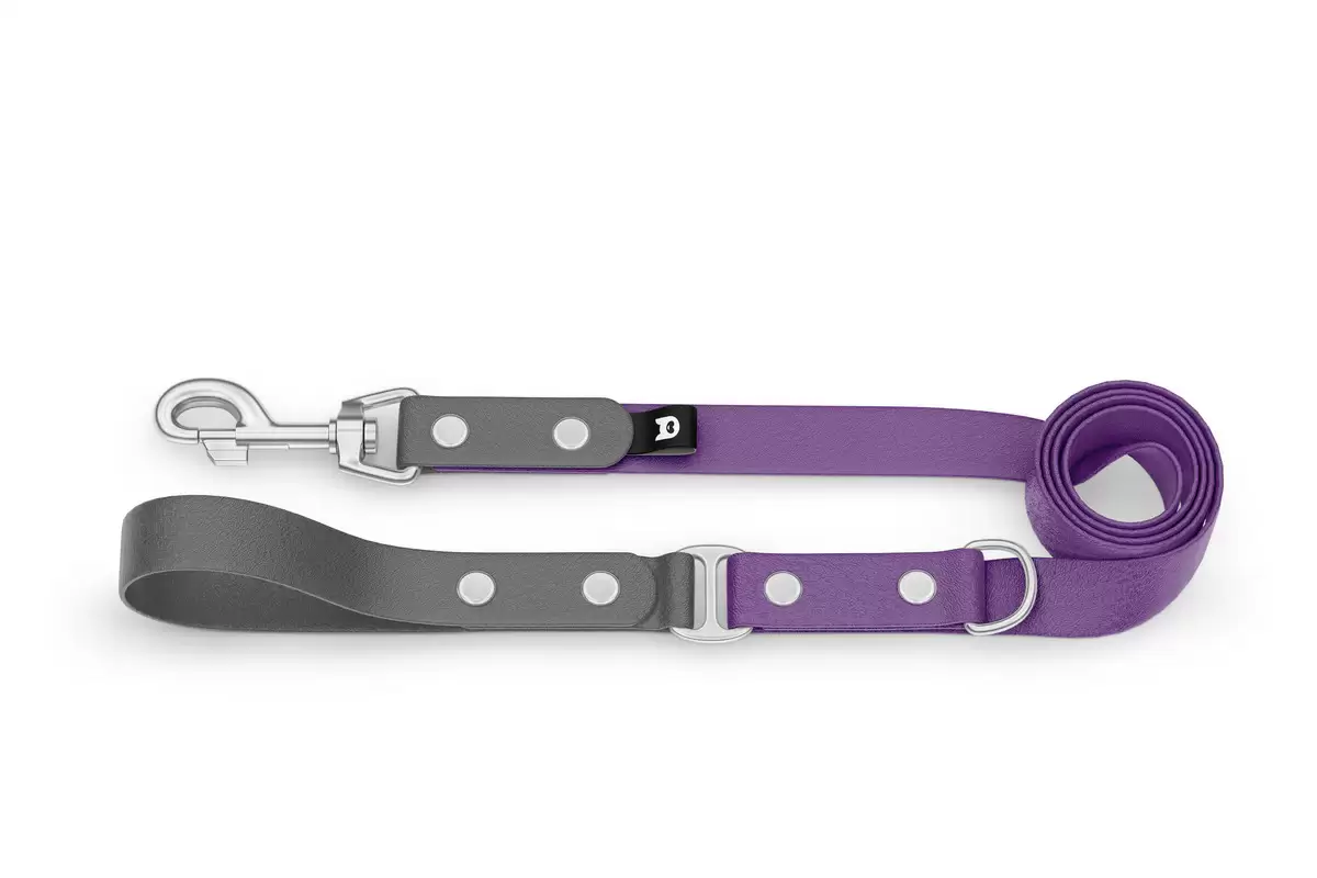 Dog Leash Duo: Gray & Purpur with Silver components