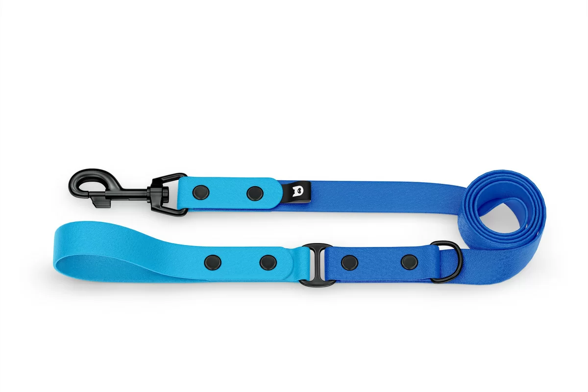 Dog Leash Duo: Light blue & Blue with Black components