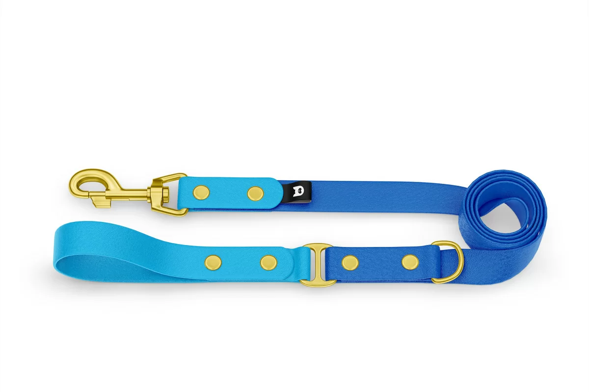 Dog Leash Duo: Light blue & Blue with Gold components