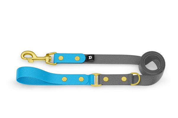 Dog Leash Duo: Light blue & Gray with Gold components