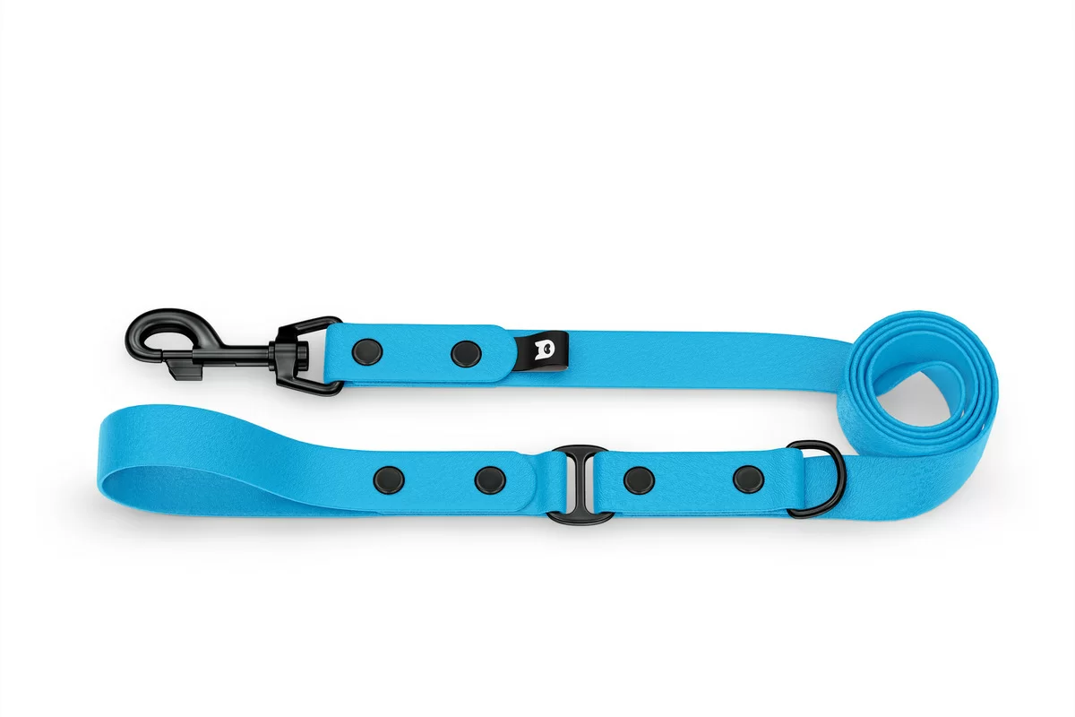 Dog Leash Duo: Light blue & Light blue with Black components
