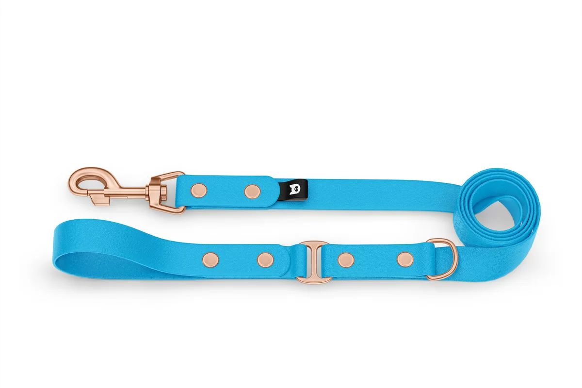 Dog Leash Duo: Light blue & Light blue with Rosegold components