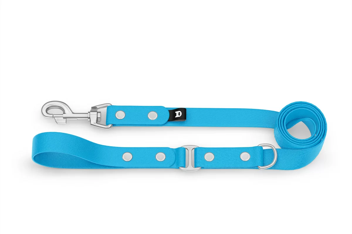 Dog Leash Duo: Light blue & Light blue with Silver components