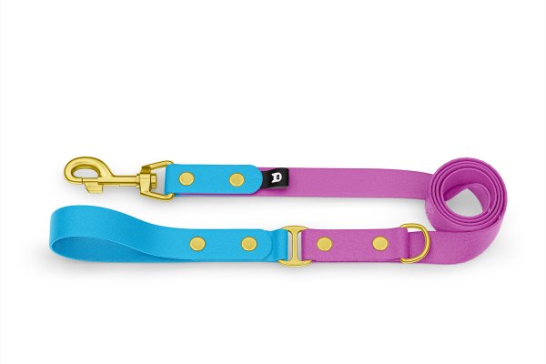 Dog Leash Duo: Light blue & Light purple with Gold components