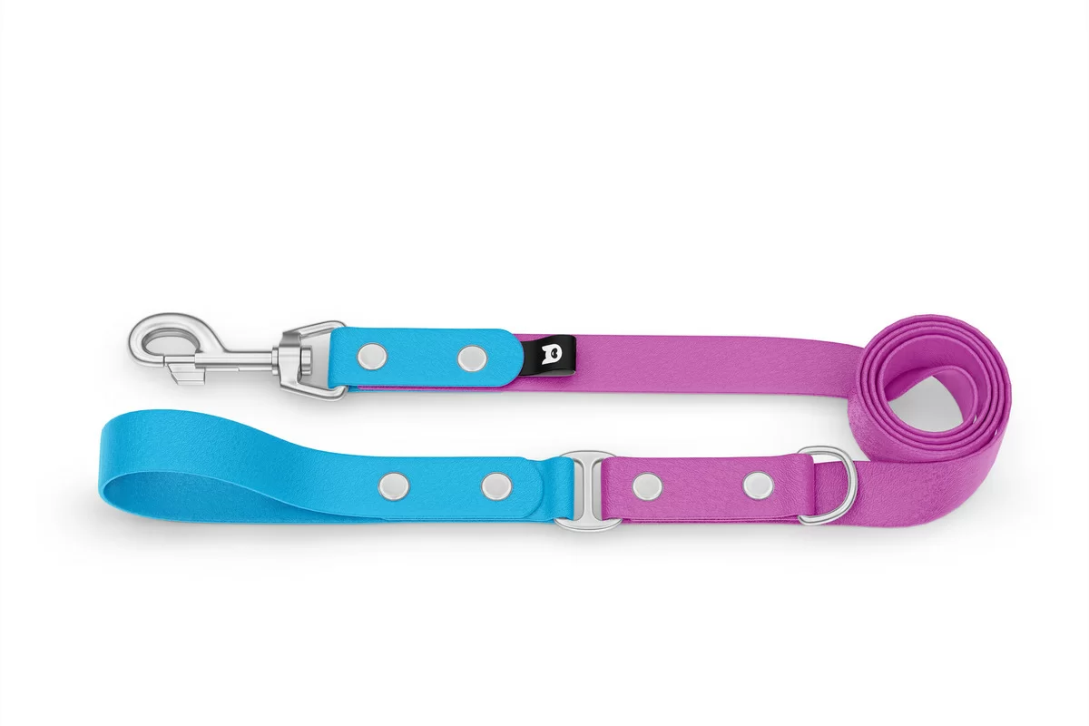Dog Leash Duo: Light blue & Light purple with Silver components