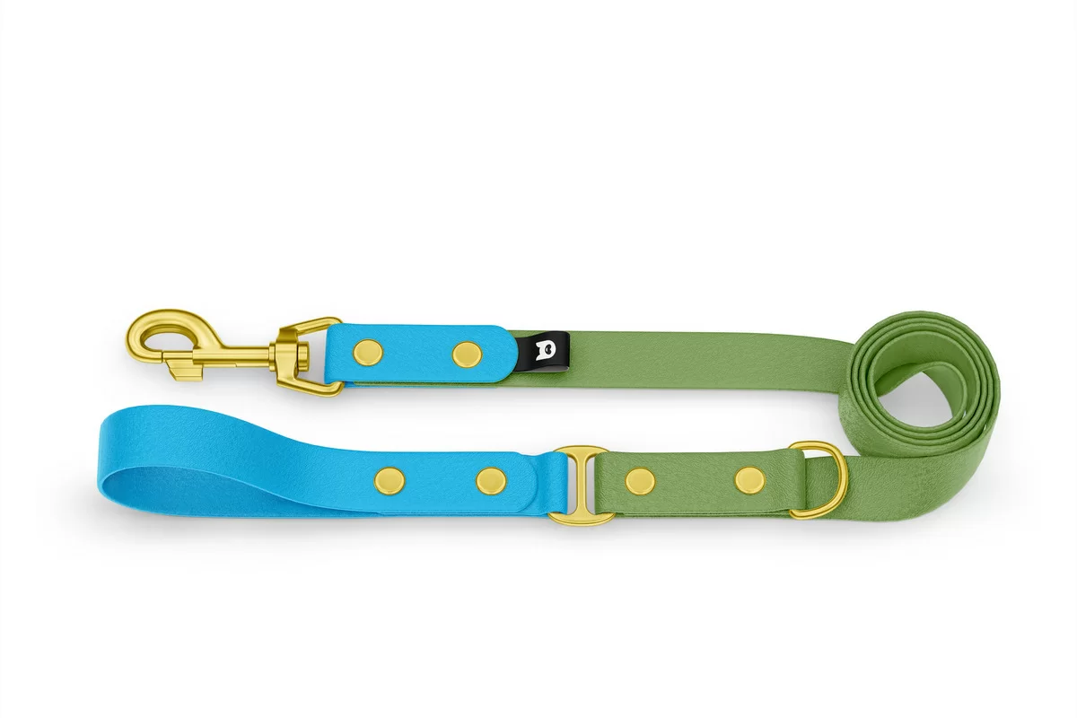 Dog Leash Duo: Light blue & Olive with Gold components