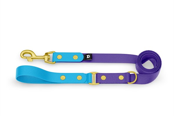 Dog Leash Duo: Light blue & Purple with Gold components