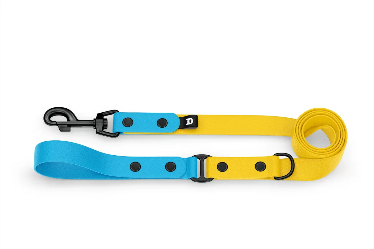 Dog Leash Duo: Light blue & Yellow with Black components