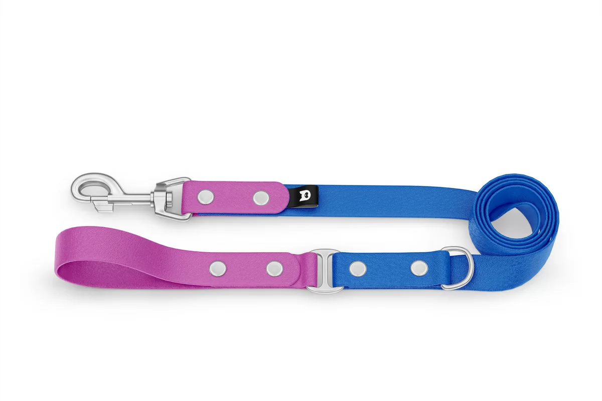 Dog Leash Duo: Light purple & Blue with Silver components