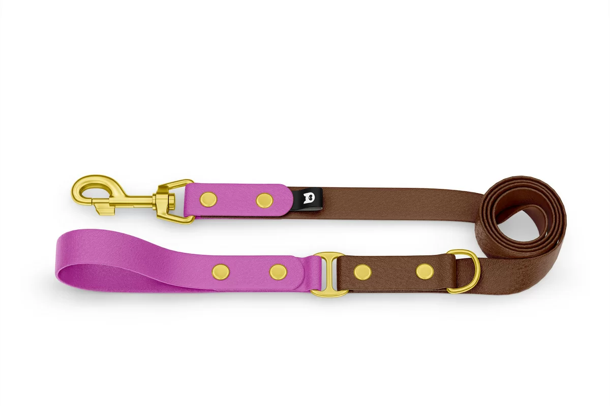 Dog Leash Duo: Light purple & Dark brown with Gold components