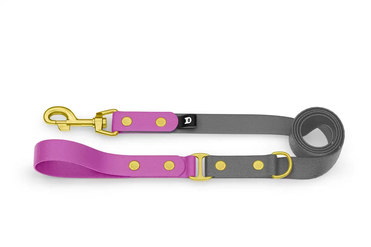 Dog Leash Duo: Light purple & Gray with Gold components