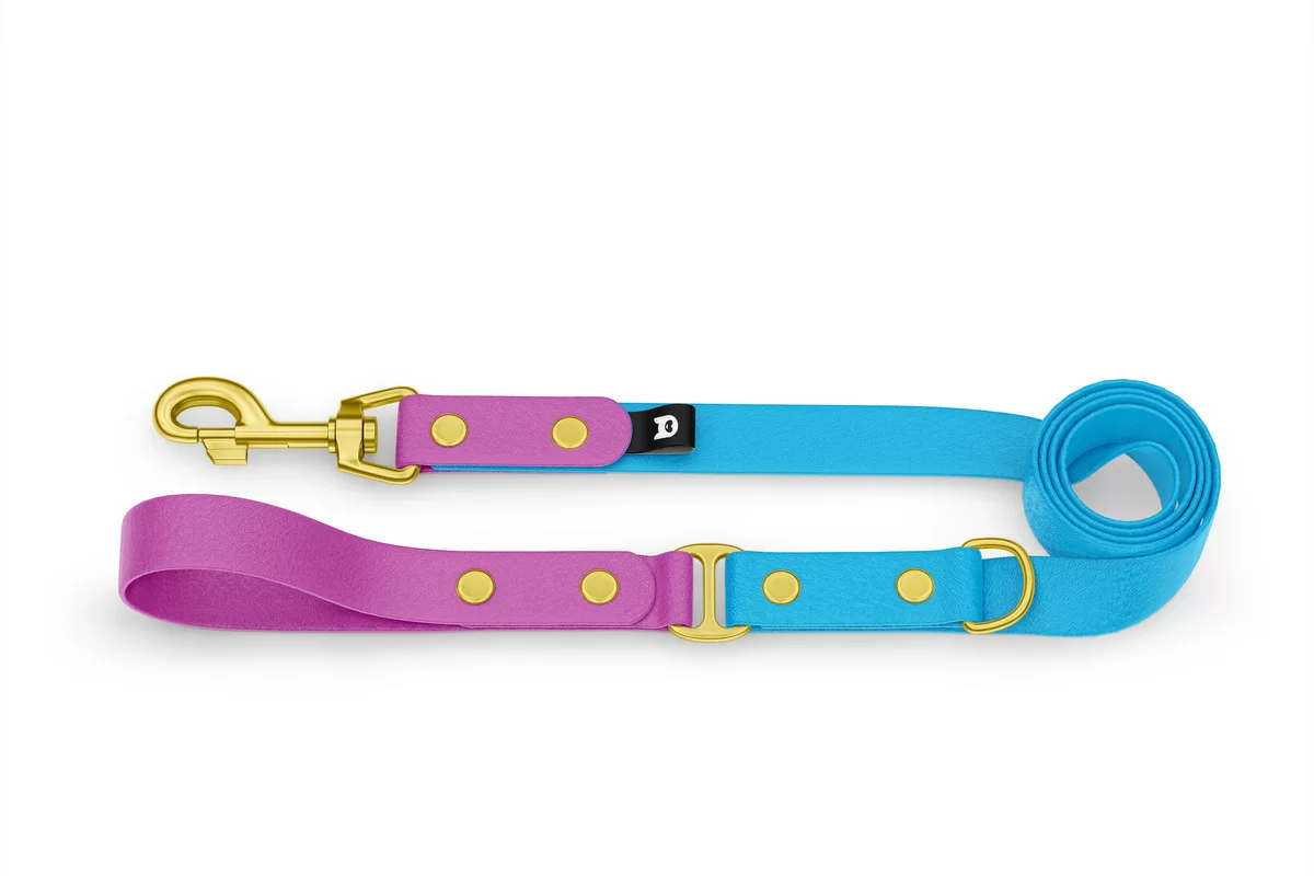 Dog Leash Duo: Light purple & Light blue with Gold components