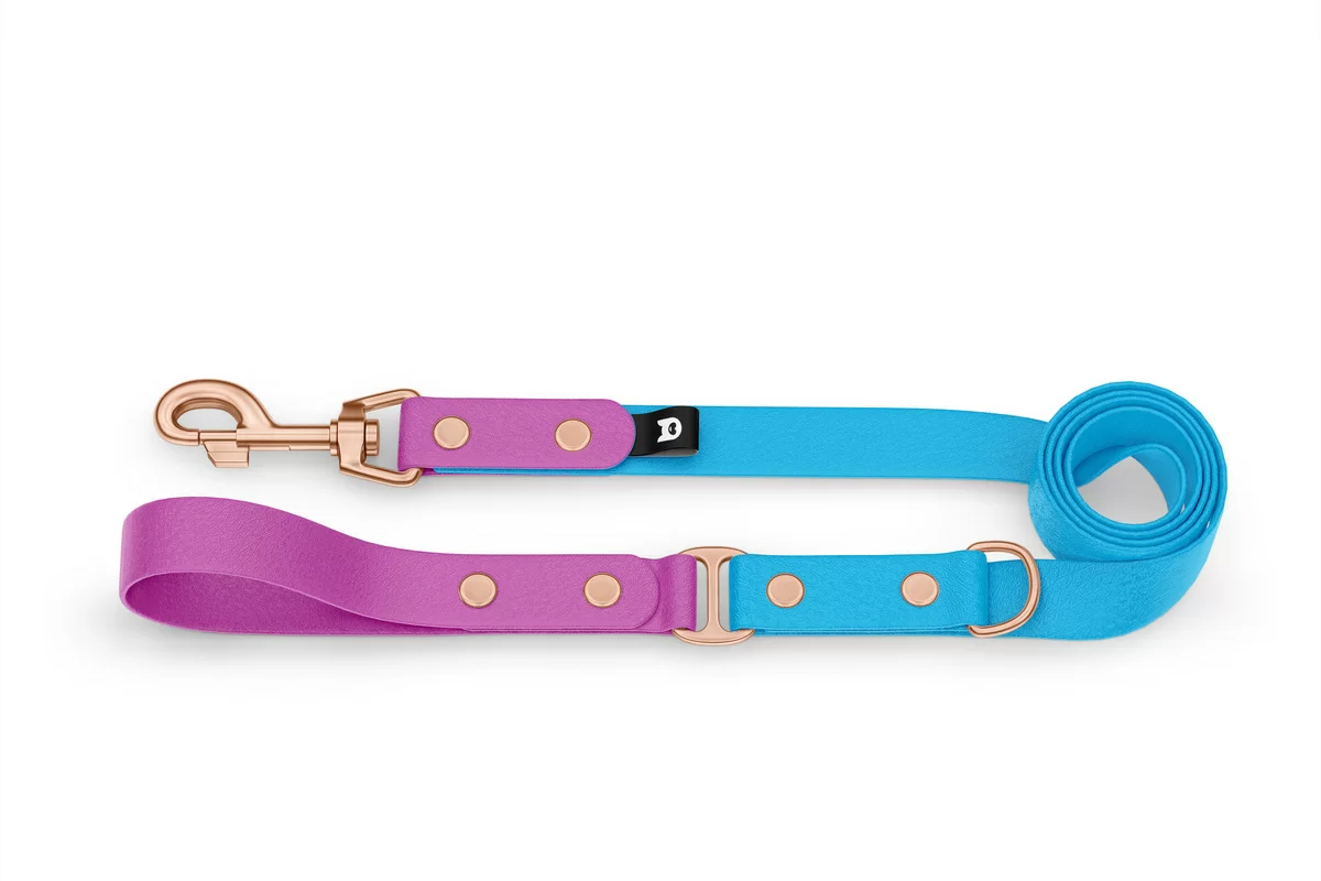 Dog Leash Duo: Light purple & Light blue with Rosegold components