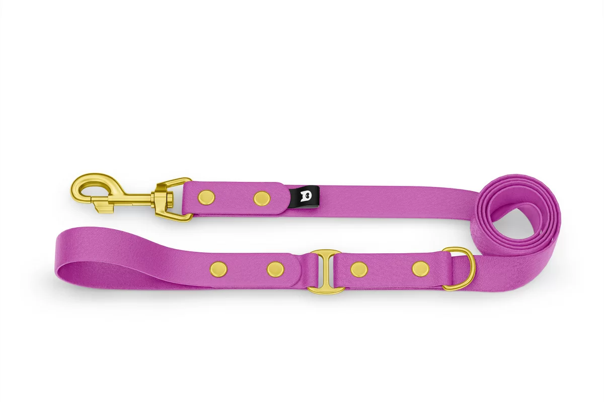 Dog Leash Duo: Light purple & Light purple with Gold components