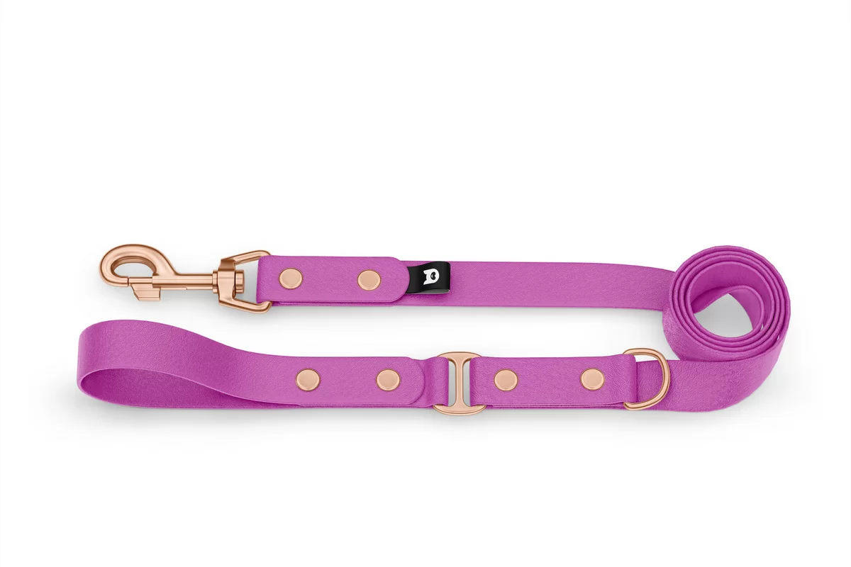Dog Leash Duo: Light purple & Light purple with Rosegold components
