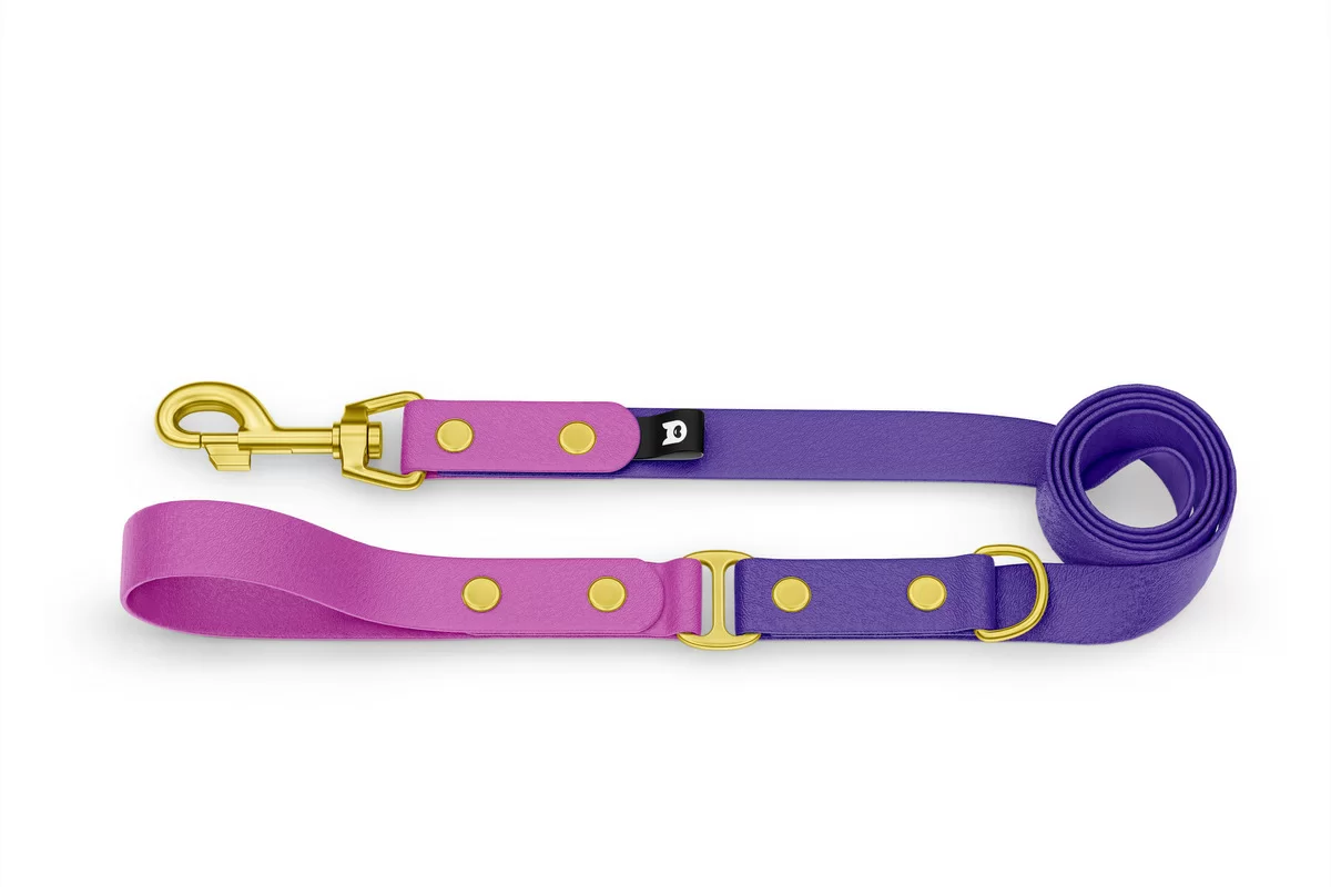 Dog Leash Duo: Light purple & Purple with Gold components