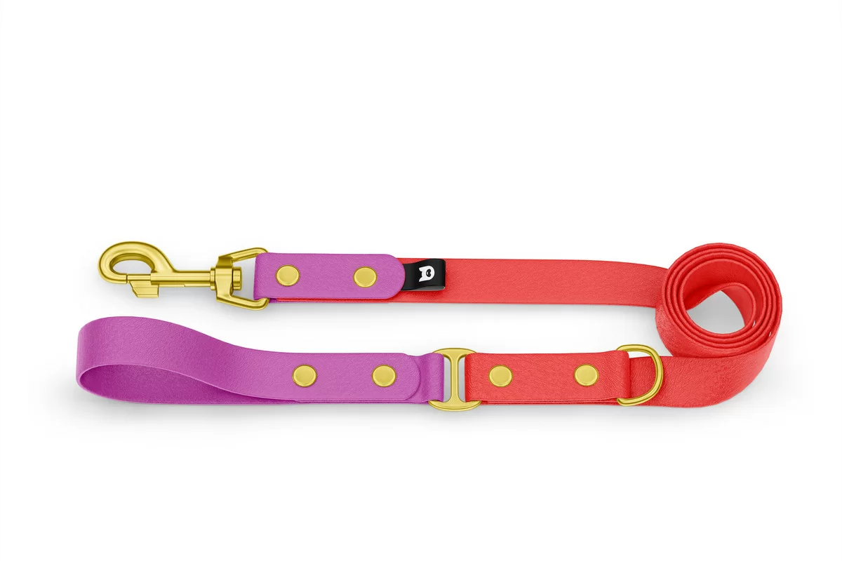Dog Leash Duo: Light purple & Red with Gold components