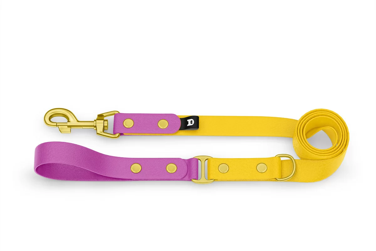 Dog Leash Duo: Light purple & Yellow with Gold components