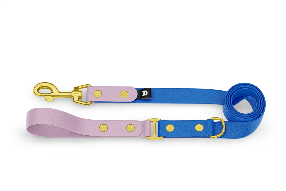 Dog Leash Duo: Lilac & Blue with Gold components