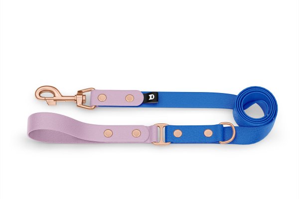 Dog Leash Duo: Lilac & Blue with Rosegold components