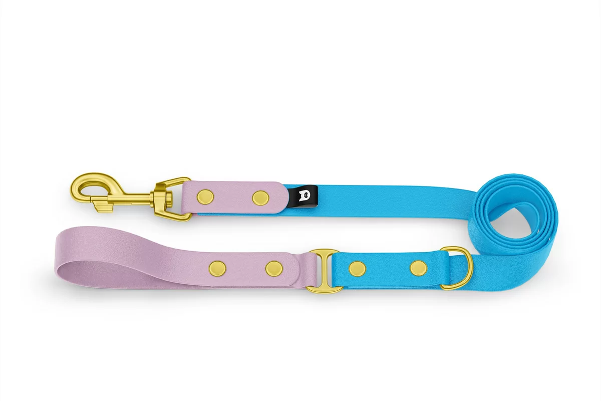 Dog Leash Duo: Lilac & Light blue with Gold components