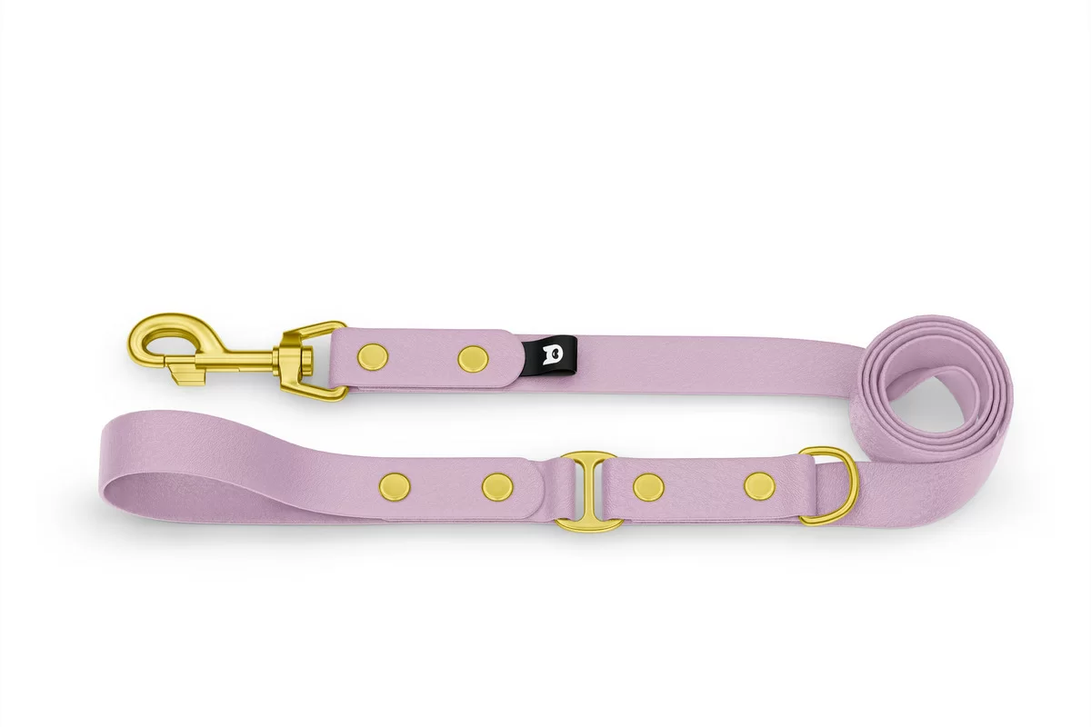 Dog Leash Duo: Lilac & Lilac with Gold components