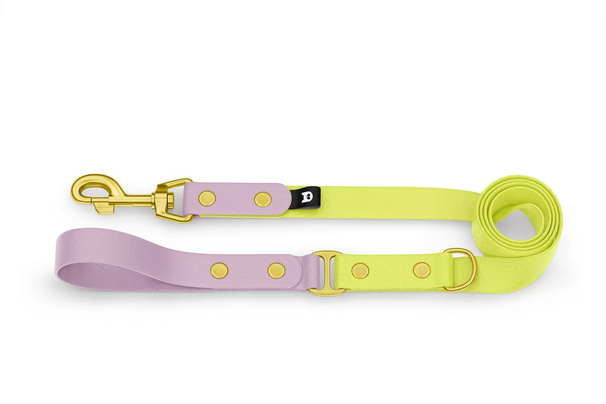 Dog Leash Duo: Lilac & Neon yellow with Gold components