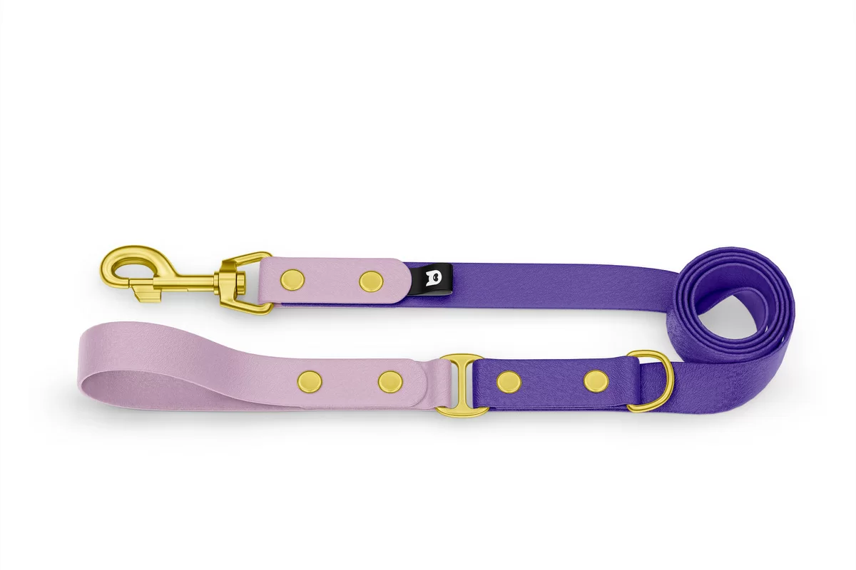 Dog Leash Duo: Lilac & Purpur with Gold components