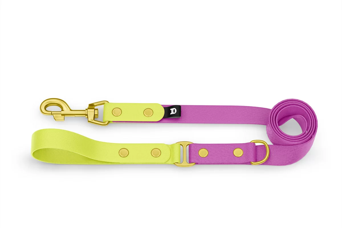 Dog Leash Duo: Neon yellow & Light purple with Gold components