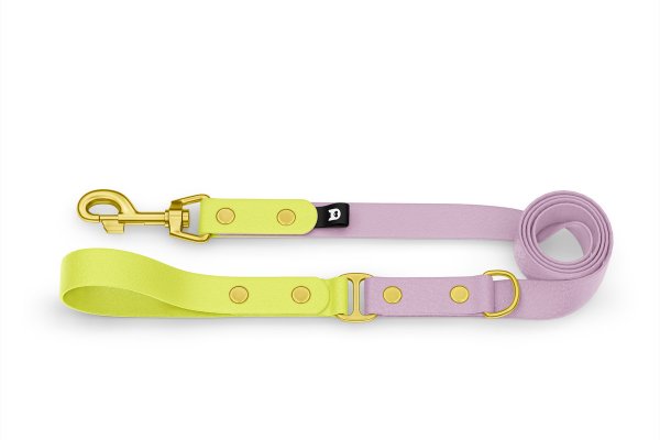 Dog Leash Duo: Neon yellow & Lilac with Gold components