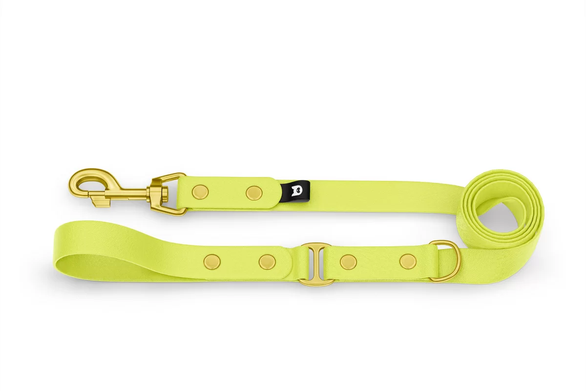 Dog Leash Duo: Neon yellow & Neon yellow with Gold components