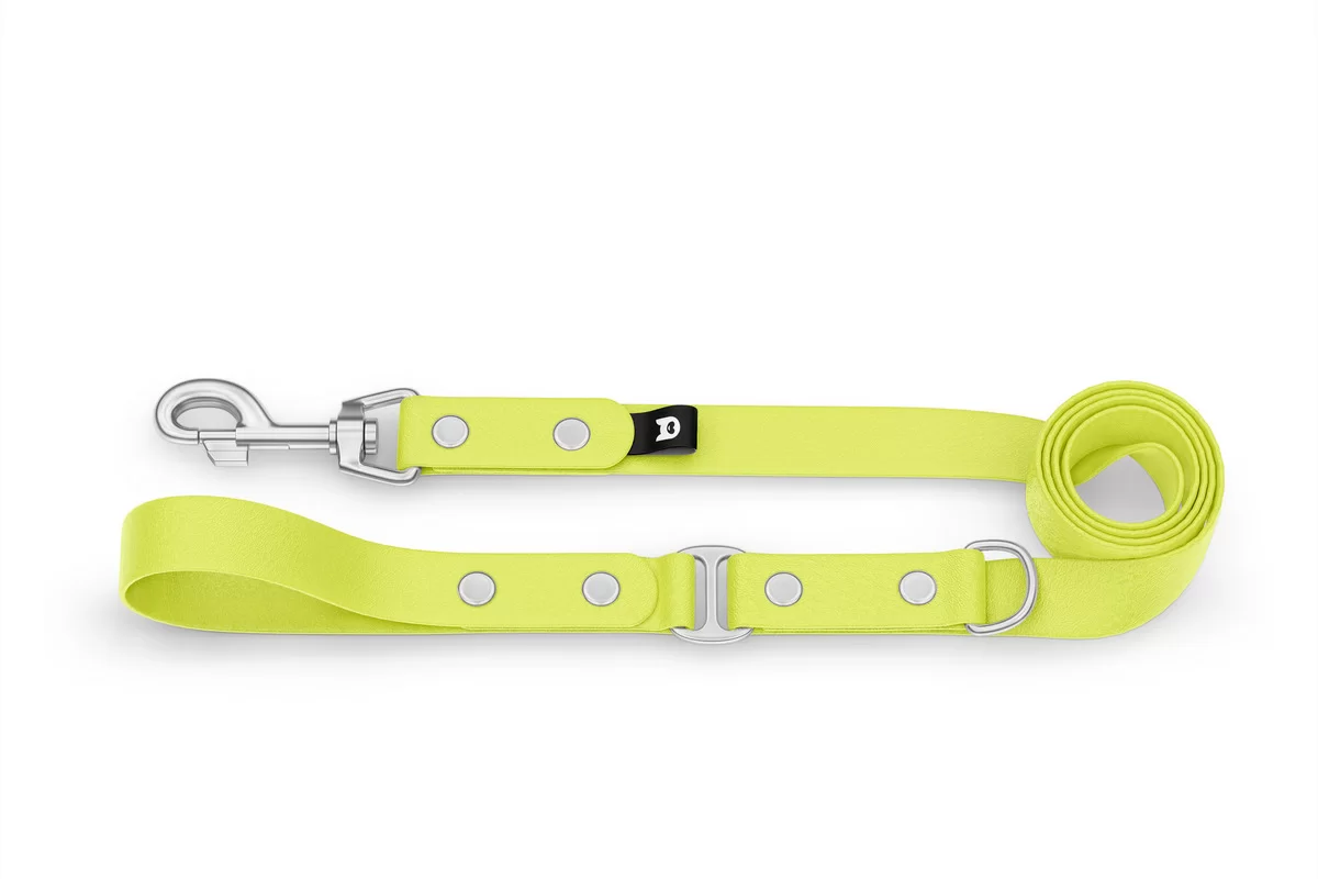 Dog Leash Duo: Neon yellow & Neon yellow with Silver components